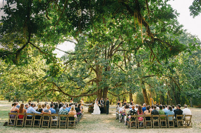 The oak grove double tree is one of four ceremony sites at Mount Pisgah