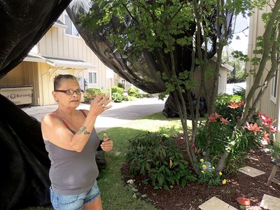 Resident Marguerite Sugg stands outside her apartment where imidacloprid was sprayed last Tuesday. Although it caused the death of at least 5,000 bees, Sugg says she was told it was safe. Photo: Anna V. Smith.
