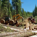 The BLM manages more than 2 million acres of land in western Oregon. Photo: BLM.