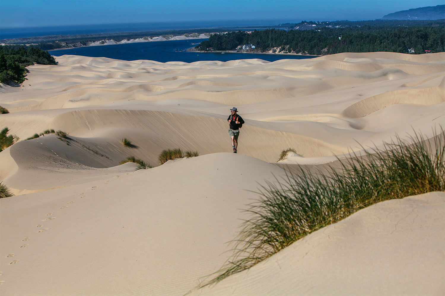 The Importance of Sand Dunes 