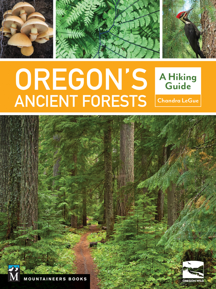 20190808nws-OregonsAncientForests_Cover_Final_WebF