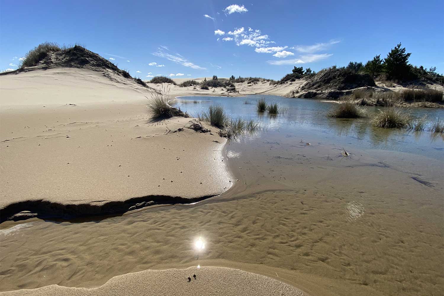 20240404outdoors-Umpqua-Dunes-