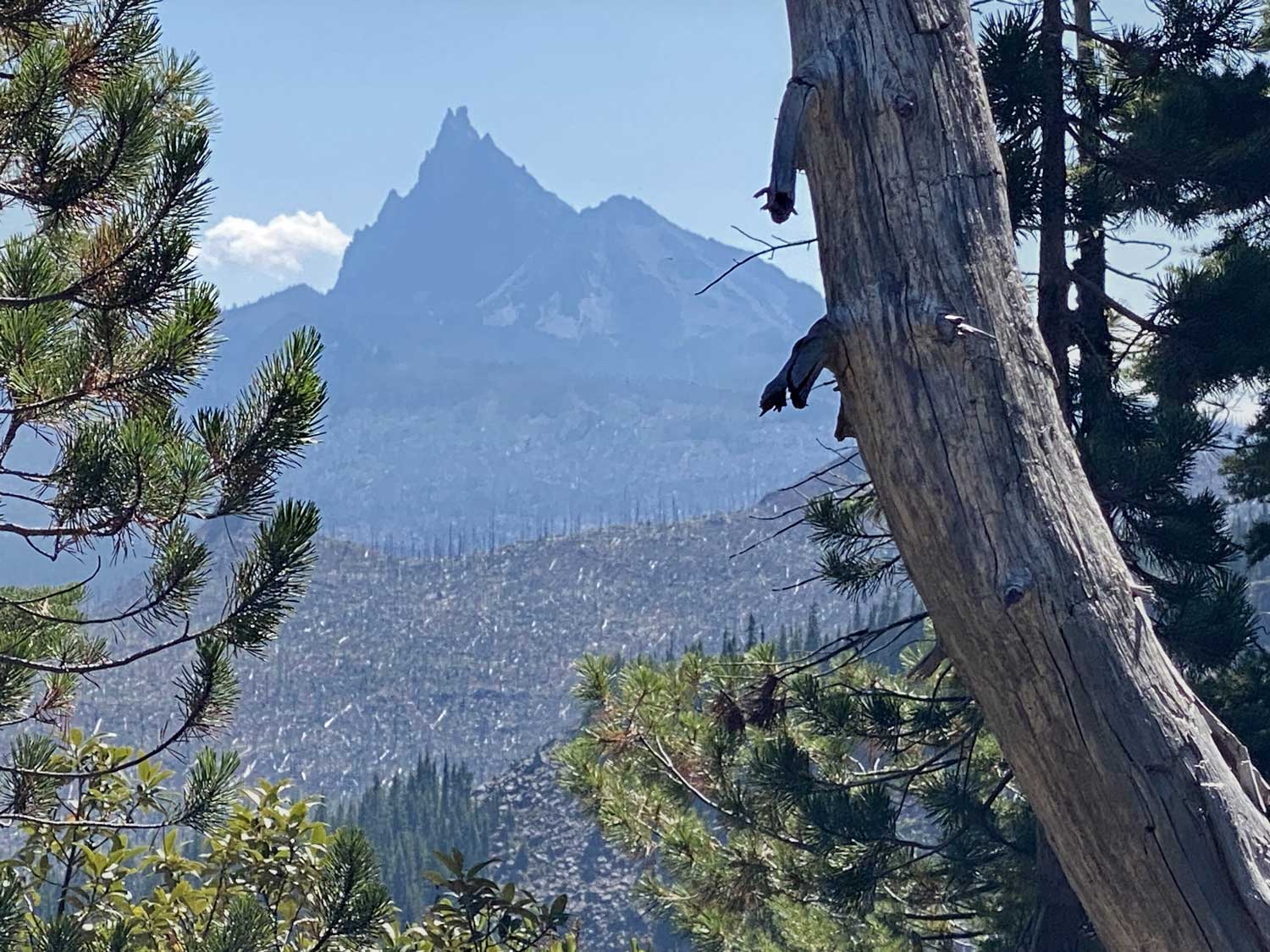 09052024outdoors-Marion-Mountain-view-of-3-Fingered-Jack-across-2003-burn