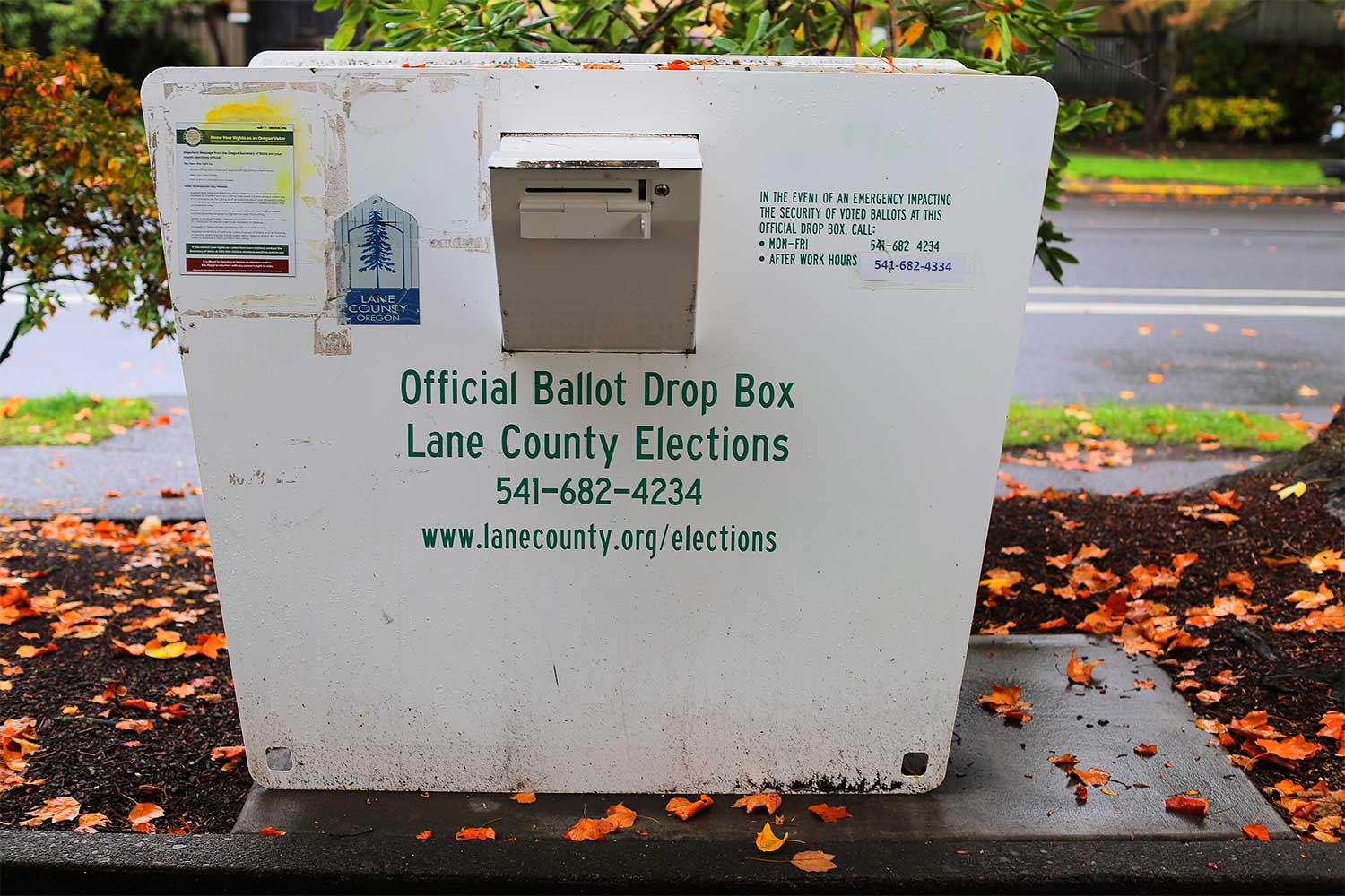 20241107news-Lane-County-Elections-dropbox-1-BK