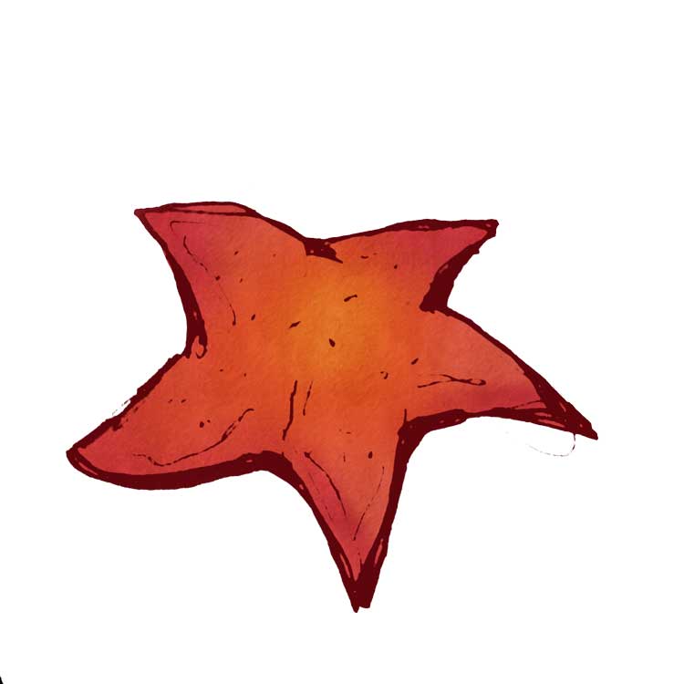 20250605cs-Starfish