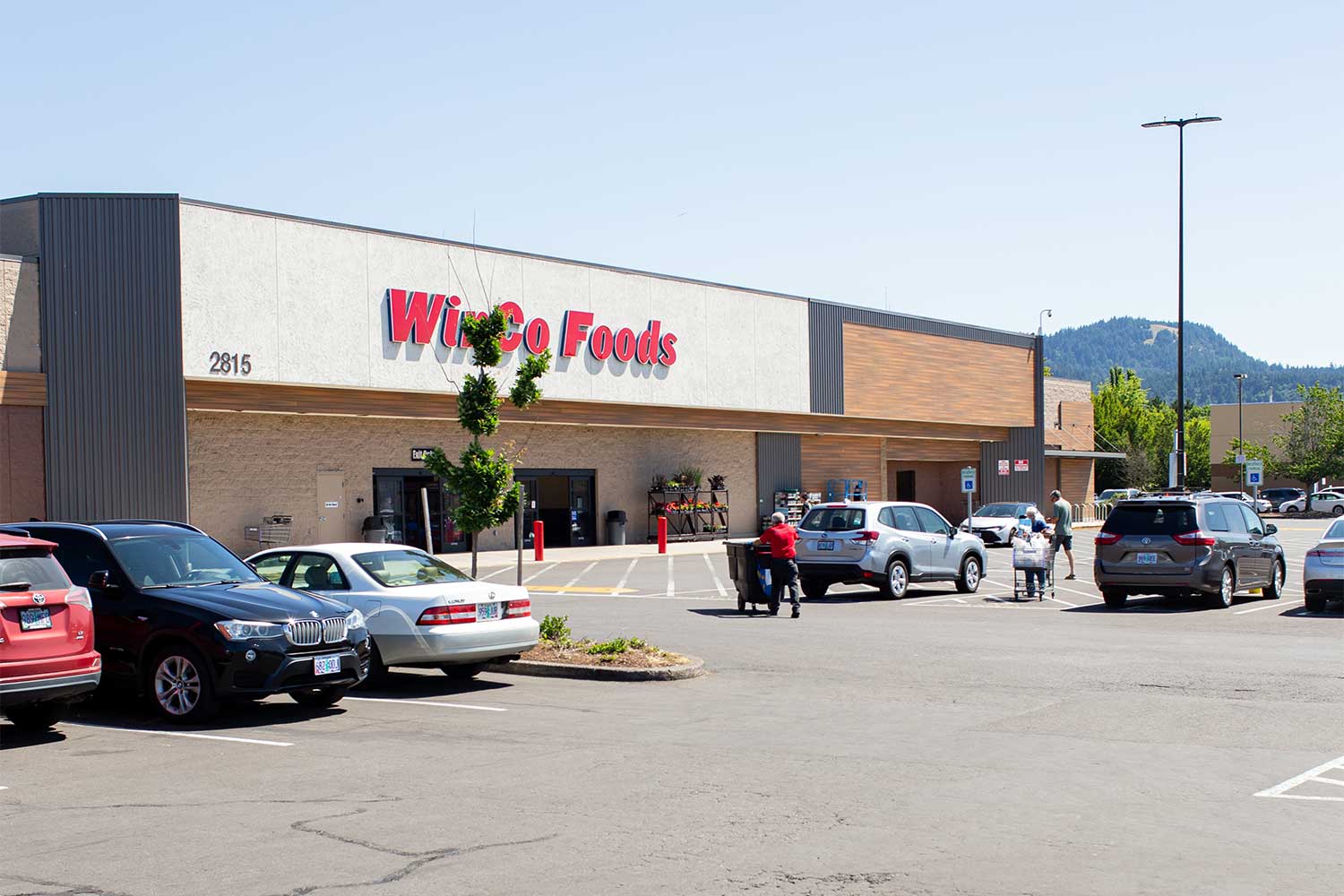 20250703bricks-IMG_0529