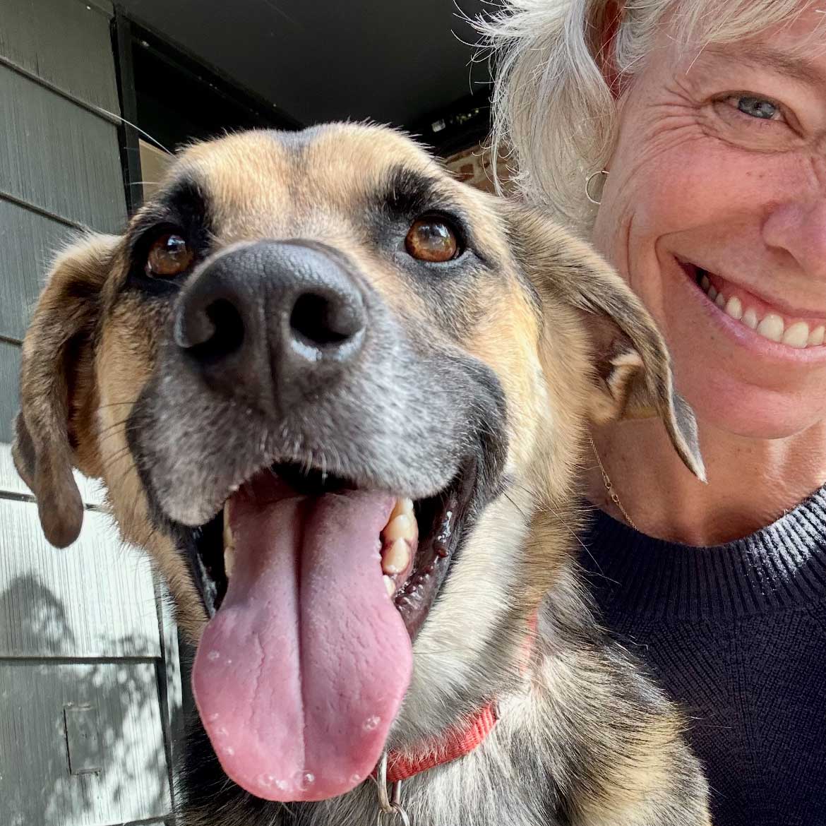 20250828pets-mayor-Knudson