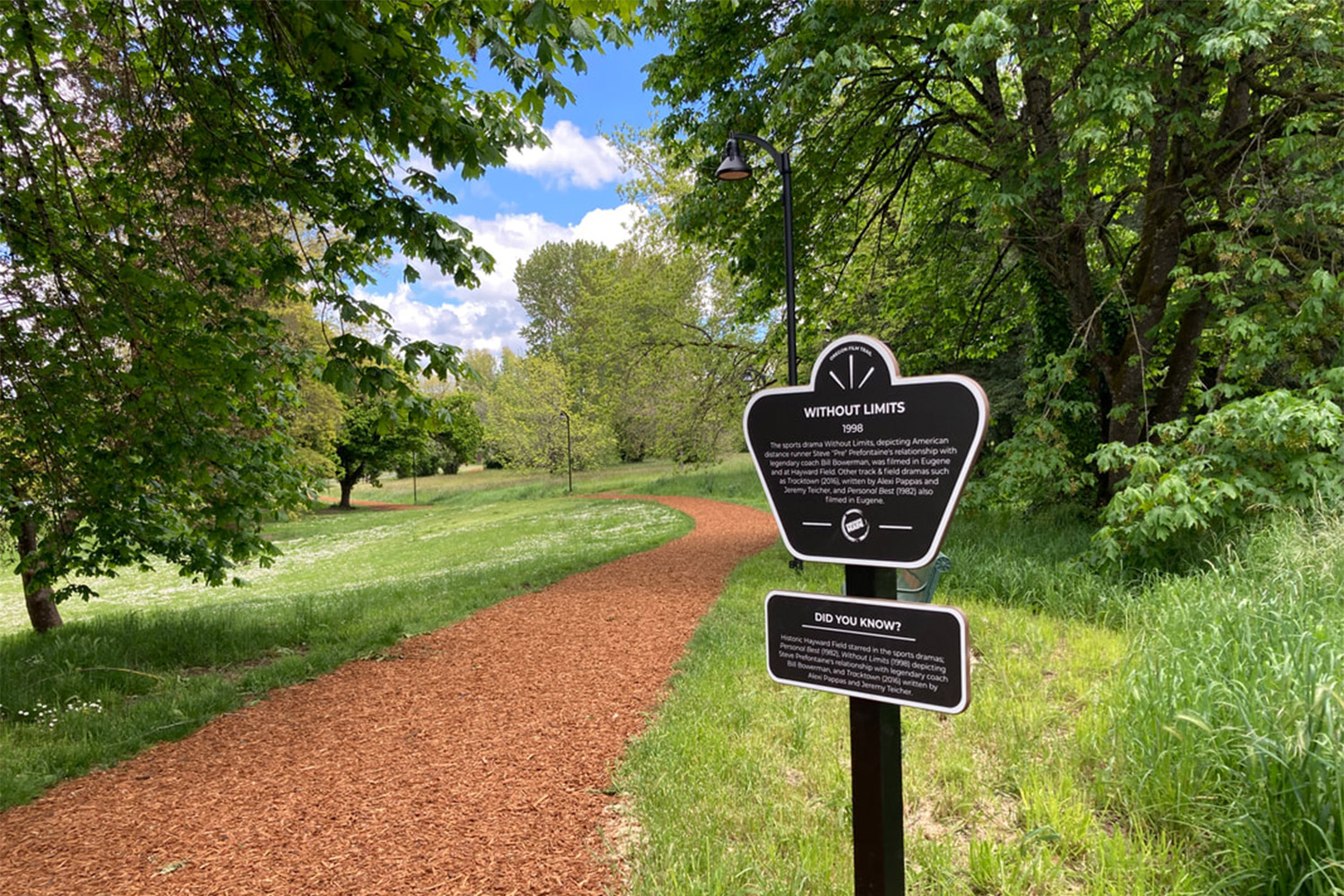 20251126movies-withoutlimits2_orig