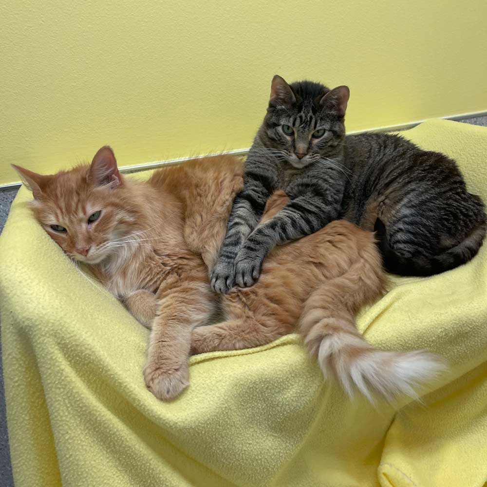 20251218gg-Greenhill-IMG_4989