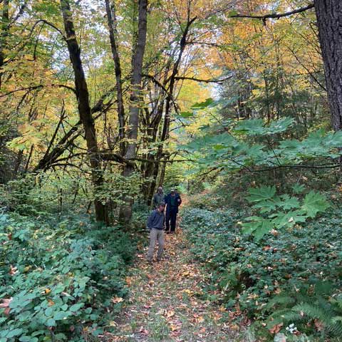 20251218gg-NWLCT-IMJQ4634