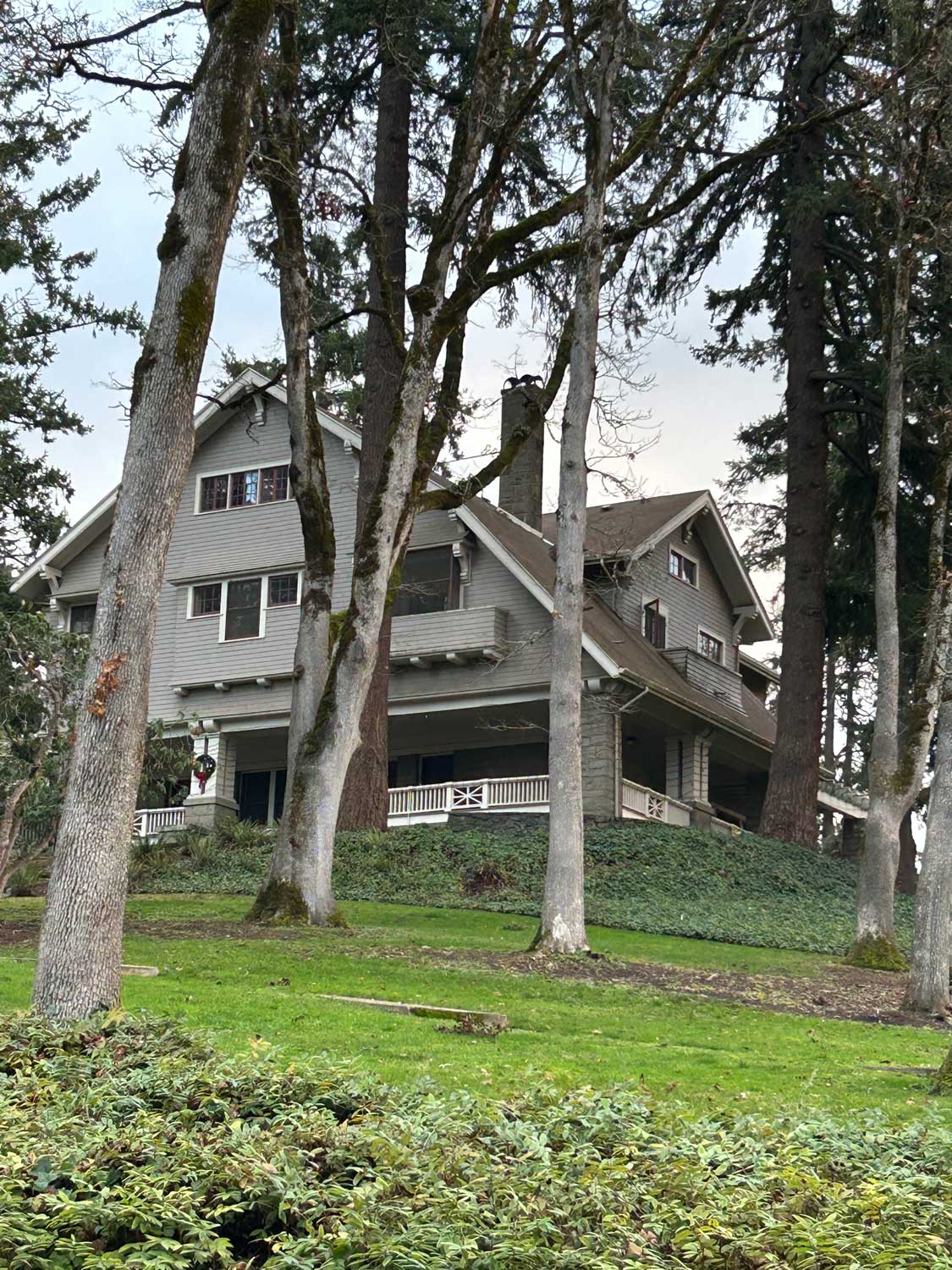 20251231bricks-Treetops-today-photo