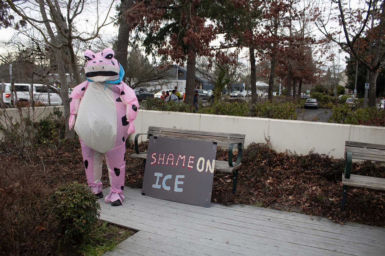 20260205extra-Springfield-Protest-2