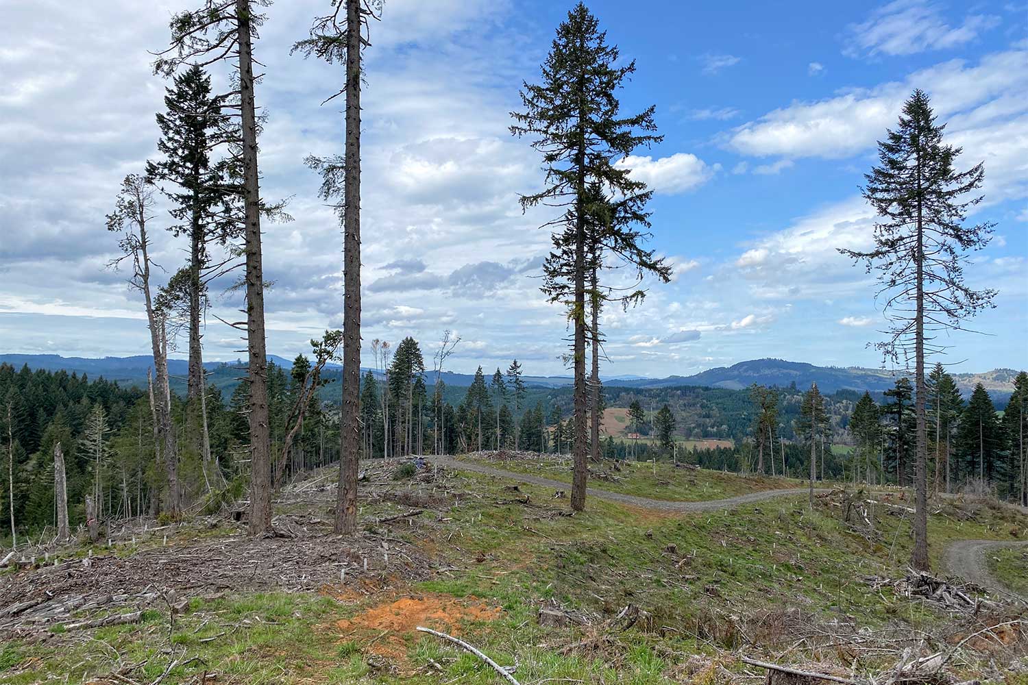 20260312hiking-NailsCreek-regen_BLM_CLeGue-5