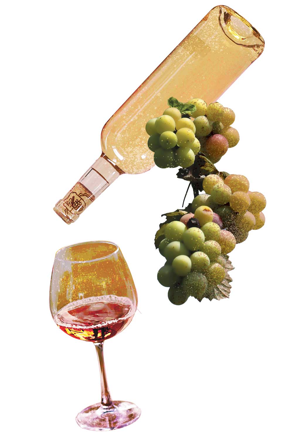 20260402cc-orange-wine-2