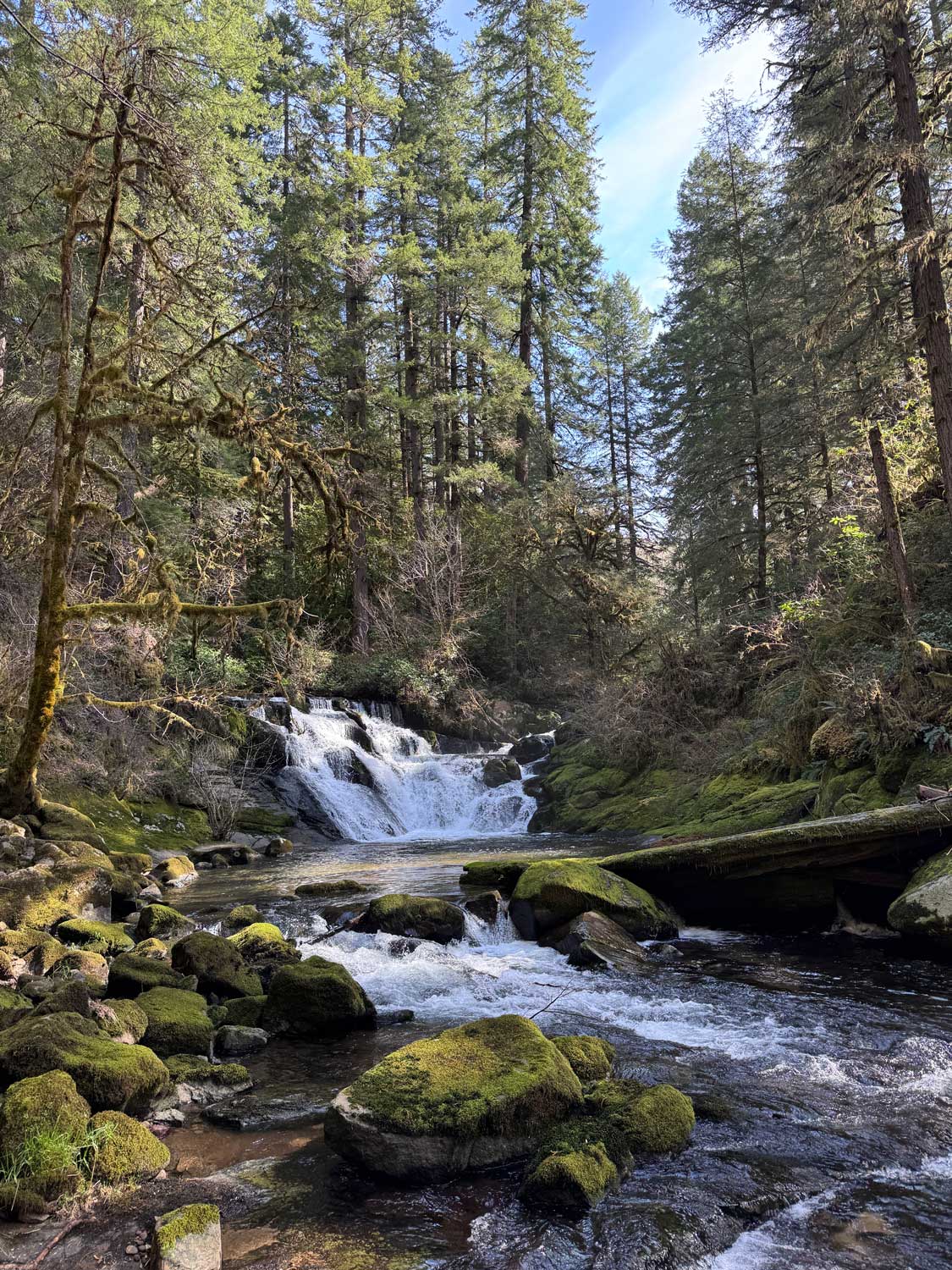 20260409outdoors-BeaverCreekFalls_CLeGue