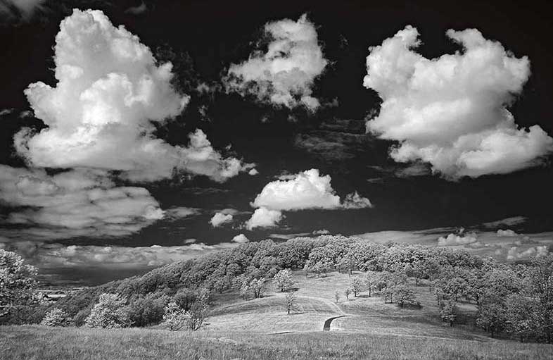 20260416arts-Oak-Savanah-at-Basket-Slough-Homeland-of-the-Yamhill-Kalapuya-by-Rich-Bergeman-1