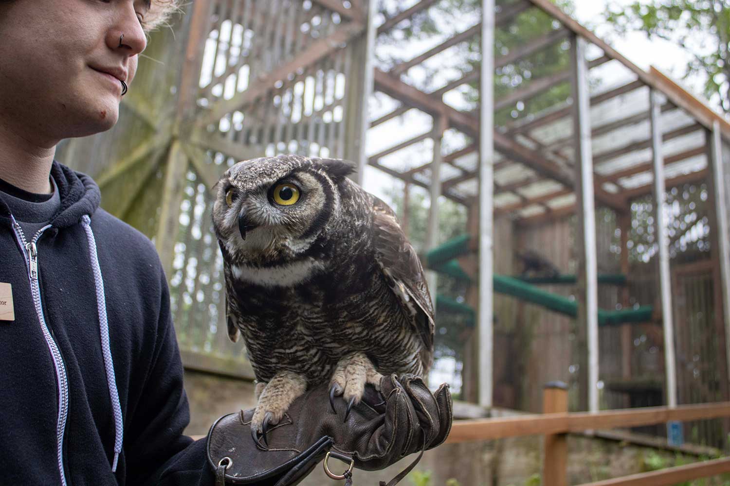 【OWL MILS】 Rota Owls After Dark - Eugene Weekly