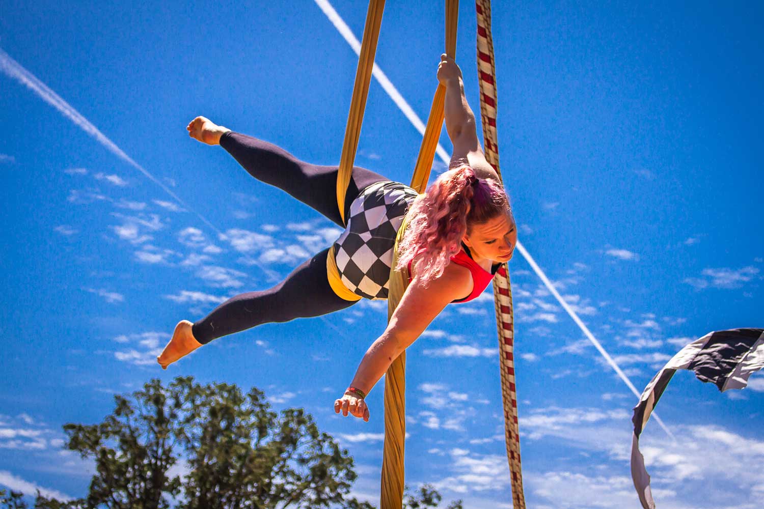Spectacular Aerial Arts 