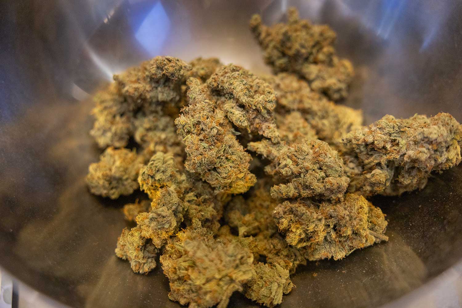 eugeneweekly.com - Eve Weston - Weed for Dummies