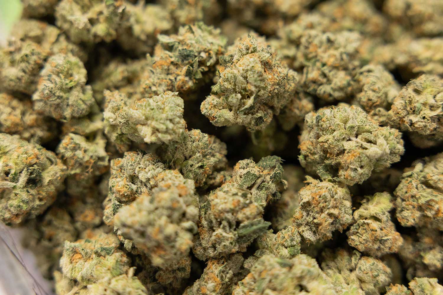 eugeneweekly.com - Oregon Capital Chronicle - New federal law puts an end to the hemp industry, Oregon businesses say
